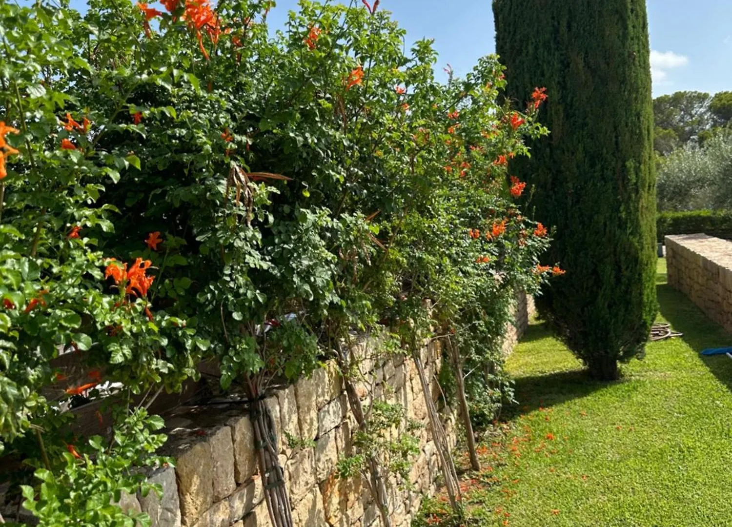 Villa Florence L'Ampolla 0*,